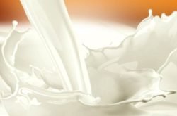 proteinele din laptele de vaca