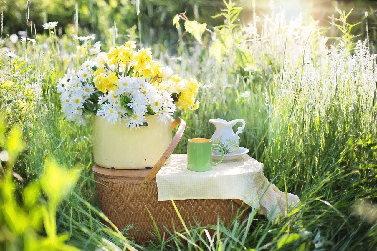 ceai verde pentru flori